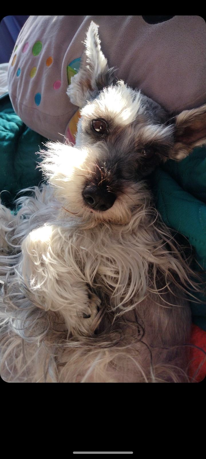 Coco