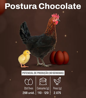 WhatsApp Image 2026-02-04 at 13.04.29.jpeg