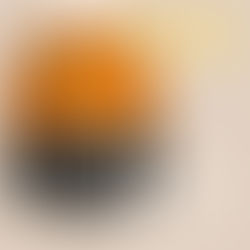 seragam DINAS BPBD SERAGAM RESCUE BNPB | lancar jaya konveksi