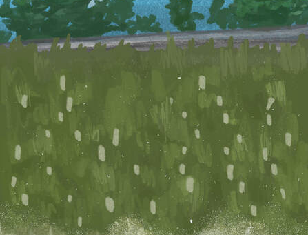 How a 1.5 billion dollar attempt at carbon neutrality turned into an environmental catastrophe