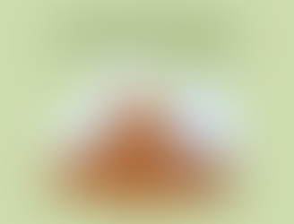 Enhanced Rock Weathering (ERW) – An Innovative Approach to Net Zero