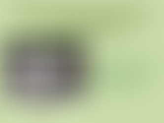 How GHG consultants guide green solutions: an interview with Cho Jeaun