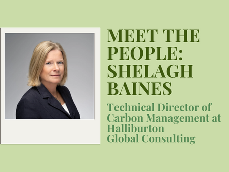 The transnational cooperation behind CCS projects: an interview with Shelagh Baines