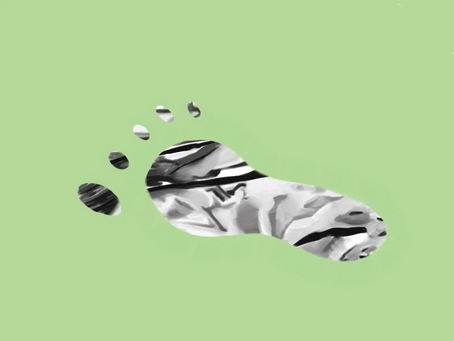 Fashion’s Carbon Footprint