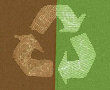 Recycling: Is it actually working?