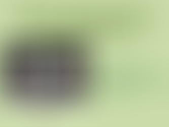 Carbon emission reduction in port operations: an interview with Eom Ikhwan