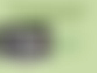 Leading carbon neutrality in businesses and communities: an Interivew with Park Kyu-ri