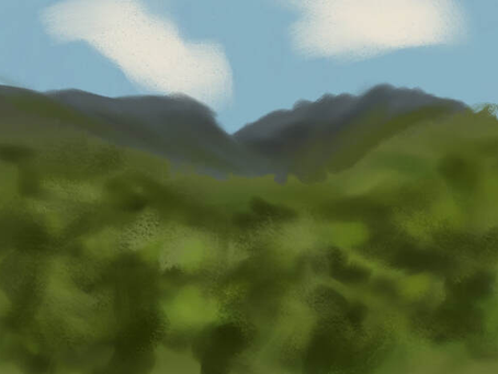 Australia’s Tropical Rainforests Shift from Carbon Sink to Source