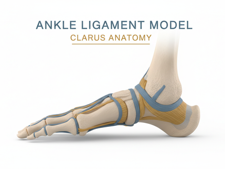 Comprehensive Guide to Ankle Ligament Surgery