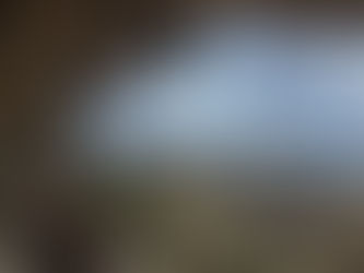 Hiking/Laser Tag - Paul Bunyan's Woodpile/Silver City 4/22/21 