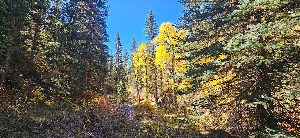 Hiking - Wardsworth Canyon Trail, Hobble Creek Cyn, Springville 10/8/25