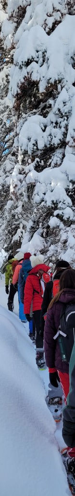 mtmamas-snowshoe-featureimage.jpeg