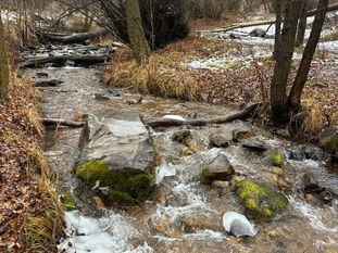 Mt Youth - Snowshoeing - Big Springs, Provo Cyn 1/2/26