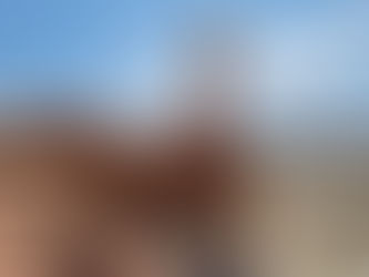 Hiking Toadstools 9/9/21