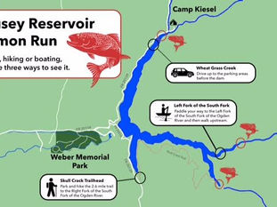 Paddleboarding - Salmon Run - Causey Reservoir, Huntsville 9/12/25