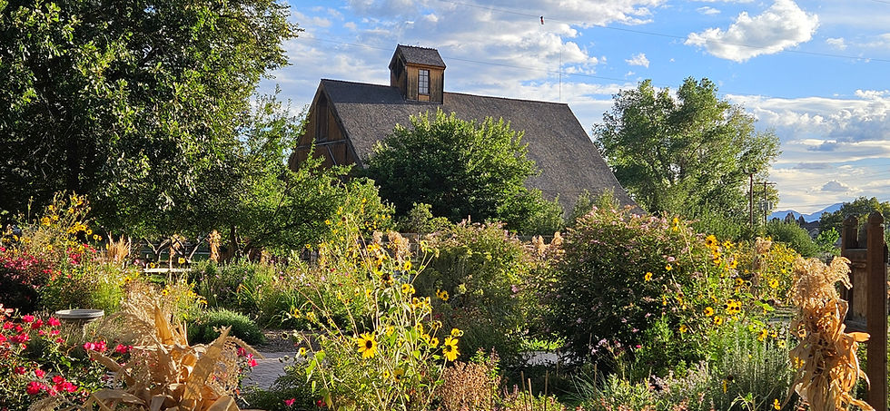 Outdoor Painting - Wheeler Farm, Murray (Beginner)