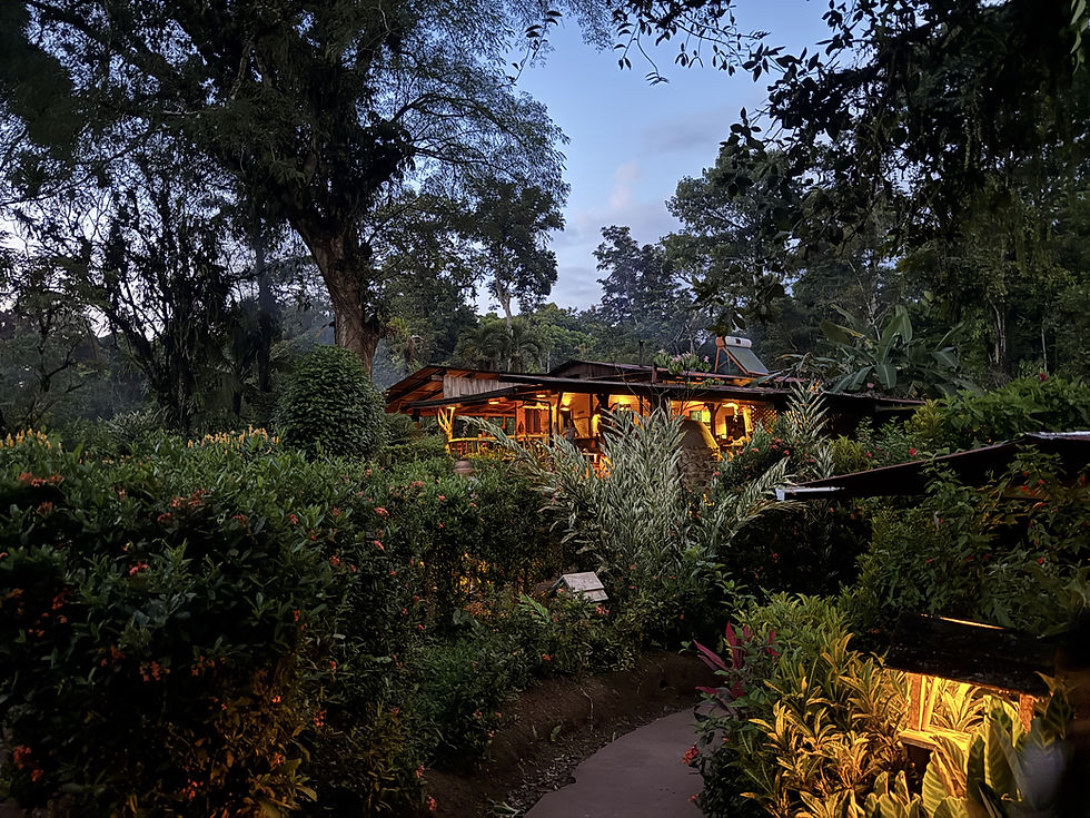 International - Costa Rica (north west) 4/23/26-5/3/26