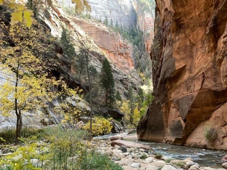 Slot Canyon - Narrows Bottom Up, Zions NP 11/6/21