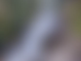 Hiking - Gloria Falls 8/30/22