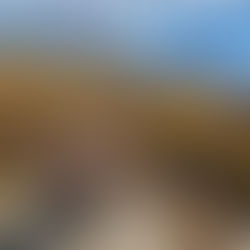 Mt Biking - WOW Trail, Park City 10/3/25