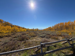 Mt Biking - WOW Trail, Park City 10/2/26