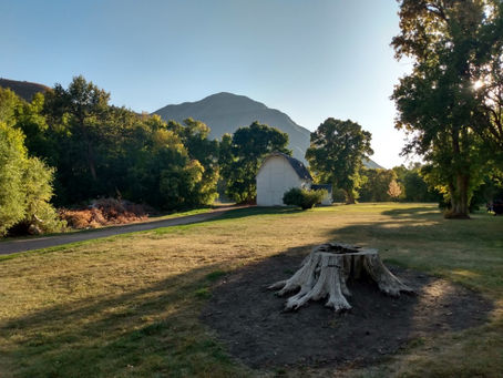 Outdoor Photography Jolly's Ranch 9/25/21