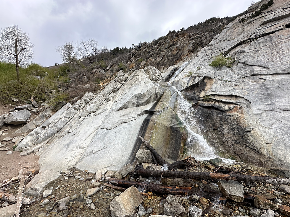 Mt Youth - Hiking - Lisa Falls/Temple Quarry, Little Cottonwoon Cyn 4/22/26