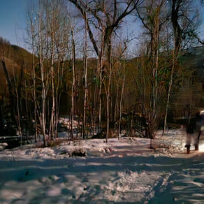 Snowshoeing Moonlight - Big Springs, Provo Cyn 2/12/25