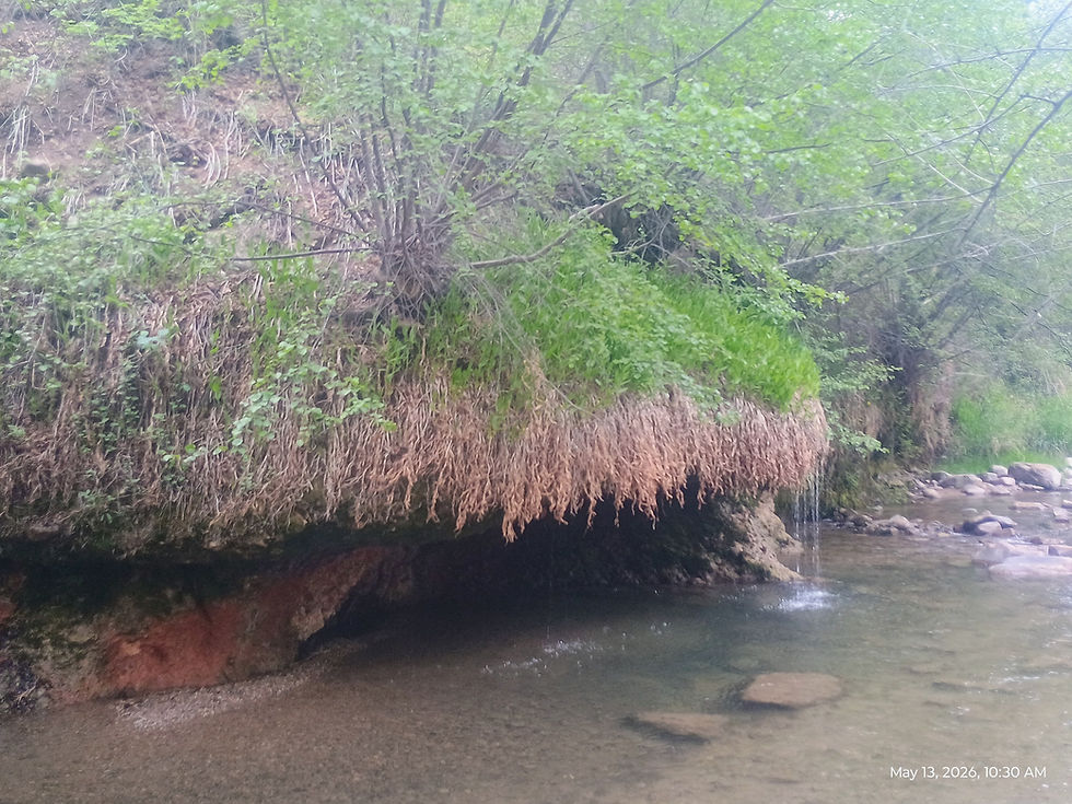 Mt Youth - Hiking - Dripping Rock, Spanish Fk 5/13/26