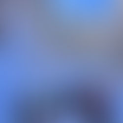 Snowshoeing - Donut Falls, Big Cottonwood Cyn 1/10/26