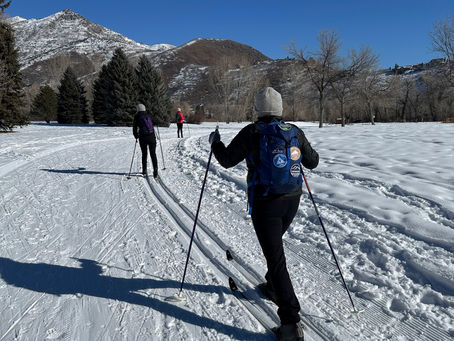 Cross Country Skiing - Wasatch State Park, Midway 1/29/25