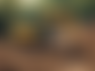 Ensure Proper Drainage with Professional Excavation Services