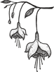 VV - Elemento 04_edited.png