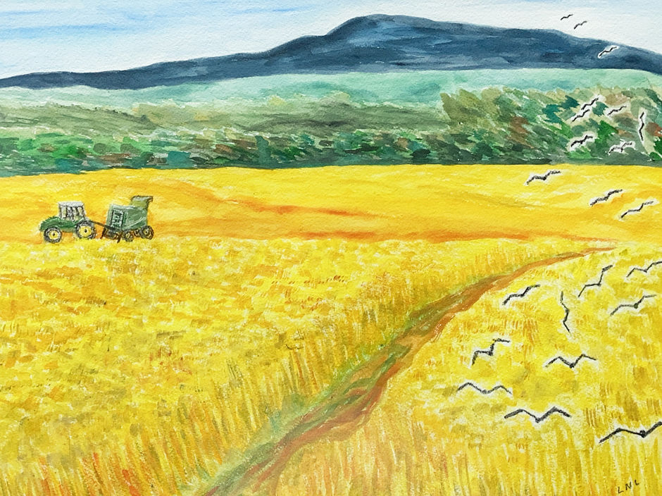 Crows & Tractor