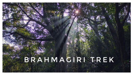 Brahmagiri Trek (Last of 2020)