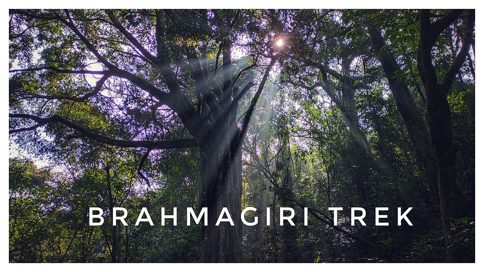 Brahmagiri Trek (Last of 2020)