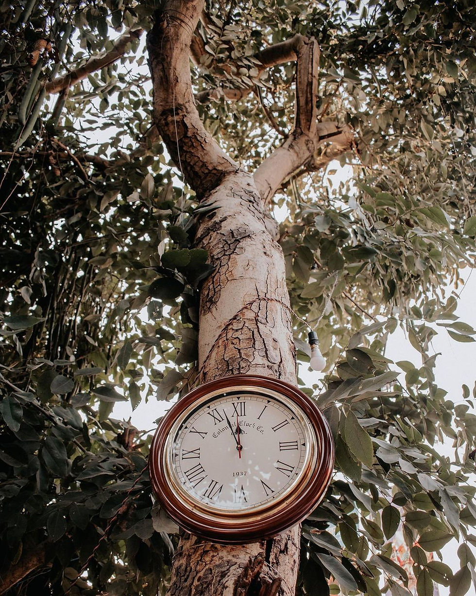 pexels-pramodtiwari-13575088.jpg
