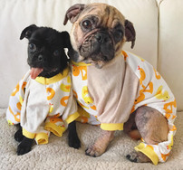 41712991_2075421315822988_71677781661806