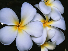 Energy healing, past life regression, soul retrieval testimonials
