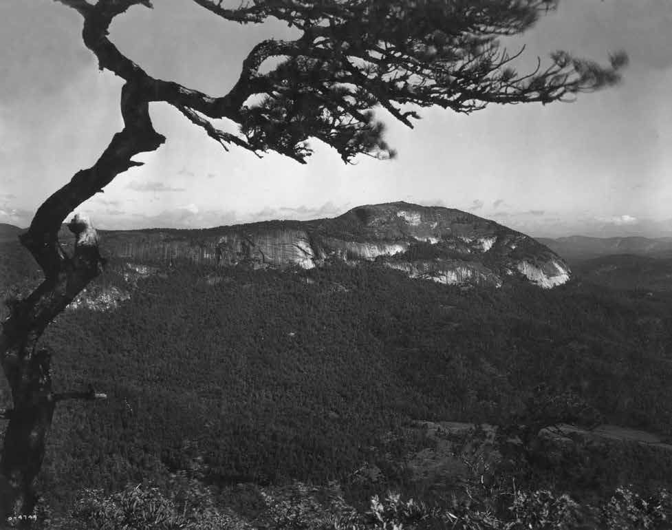 George Masa, Whiteside Mountain Looking Northeast from Satulah Mountain, ca. 1929.