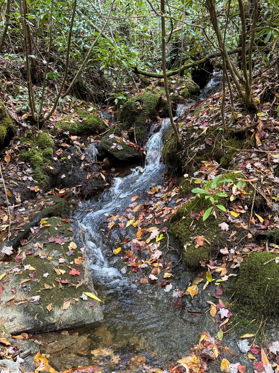 A Little Mountain Stream