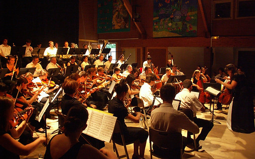 2009-2010 - Piccolo Orchestra - Orchestre symphonique - Nouveau Monde - Versailles - Maison de quartier de Porchefontaine - Yvelines - Ile-de-France