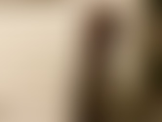 Maude | Wire-haired Pointing Griffon | Pacific Palisades, CA | In-Training