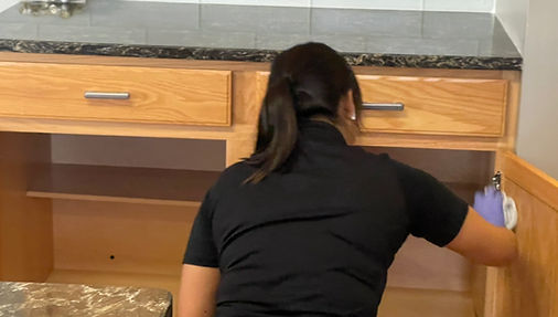 Maryland Cleaning Professionals