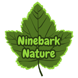 Writer: Ninebark Nature Society
