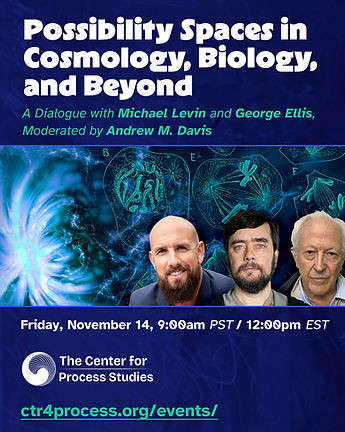 Possibility Spaces in Cosmology, Biology, and Beyond - Promo.jpg