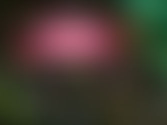 ENCERRAMENTO DA OFICINA DE TEATRO DESTACA TALENTOS EM ESPETÁCULOS NA CASA DE CULTURA