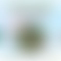 Itaboraí recebe a 1ª edição do Belaitalia Fest com programação cultural, gastronômica e esportiva