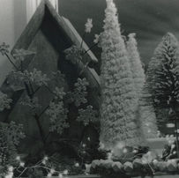 img20221214_07415057 3.jpg