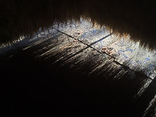 image1.jpeg